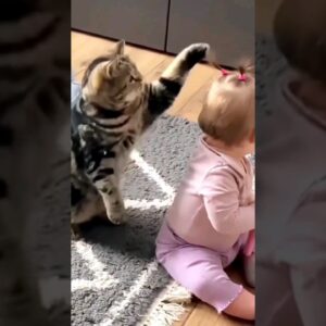Gato Espantado com o Penteado da Bebê - Animais Dublados Binho e Mel