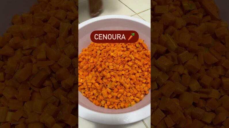 Alimentos que seu peludinho pode comer... #caramelando #petcaramelando #trowinstore