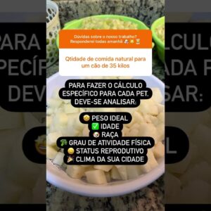 Você sabia quanto de alimento pode oferecer ao seu cão? #caramelando