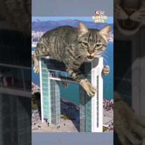 Gato gigante? 😂 - Animais Dublados Binho e Mel