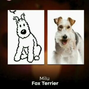 Você sabia que os cães dos desenhos animados também têm raças reais?
