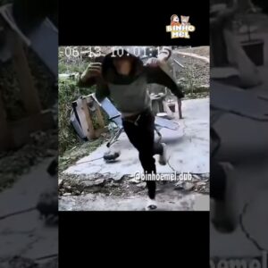 Corre!! ataque de abelhas - Animais Dublados Binho e Mel