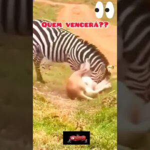 Quem Vencerá ?  #animals #shorts