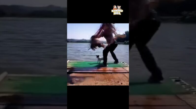 Quando vc chega chegando 🤣 - Animais Dublados Binho e Mel