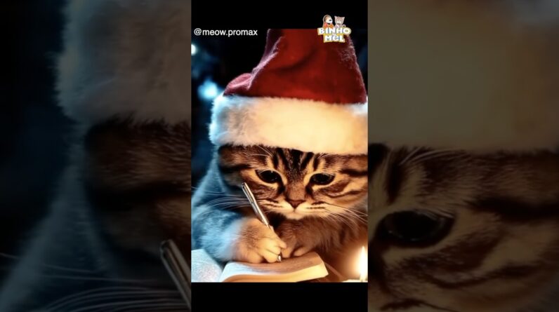 Um pedido simples ao Papai Noel 🤣 - Animais Dublados Binho e Mel